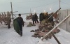 Убойная кампания идет по плану