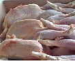 Поставки куриного мяса в Россию выросли более чем в 1,8 раза