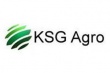 Украинская "KSG Agro" отправит в Грузию первые 200 свиней