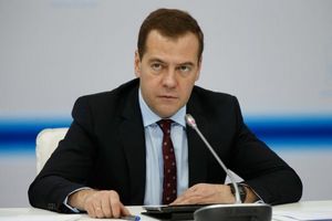 Медведев: введение контрсанкций оказалось выгодно российским аграриям