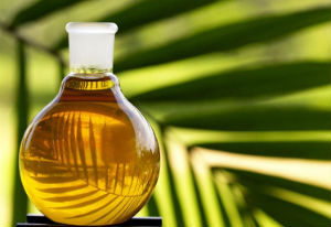 Госдума хочет запретить использование пальмового масла в пищевой промышленности