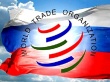 ВТО и торговое противостояние России с ЕС