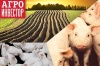 AgrobusinessForum—2015 AgrobusinessForum—2015