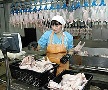 Борьба за свердловские предприятия в самом разгаре. Работники «Первоуральской» птицефабрики написали письмо Холманских Борьба за свердловские предприятия в самом разгаре. Работники «Первоуральской» птицефабрики написали письмо Холманских