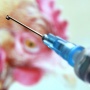 В США продолжается бесконтрольное применение антибиотиков при выращивании птицы