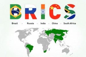 Бразильские производители мяса выступают за создание СП с партнерами по БРИКС