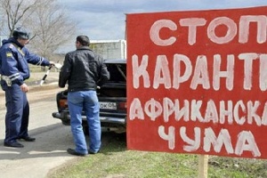  В четырех районах Калужской области введен карантин из-за АЧС