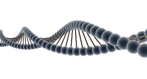 В УрНИВИ появилась система для точной диагностики генетического кода животных