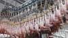 РФ может в 2012 г снизить импорт мяса птицы на 17% - до 400 тыс тонн