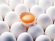 Ставрополье сократит производство яиц на 10% из-за банкротства крупнейшей птицефабрики