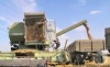 Кузнецкие сельхозпроизводители достигли рекордных показателей