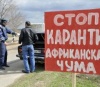 Ткачев: В распространении чумы свиней виновны мелкие личные хозяйства