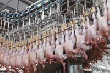 Россия сокращает объем поддержки птицеводства до 2020 года Россия сокращает объем поддержки птицеводства до 2020 года