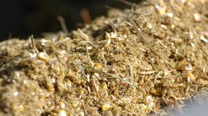 Ученые подтвердили, что ГМ-корма безвредны для скота