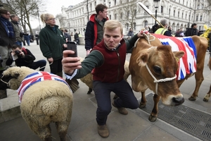 Протестующие фермеры провели по центру Лондона овец и коров 