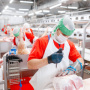 Чистогорский свинокомплекс «Сибагро» начал производство охлажденной продукции