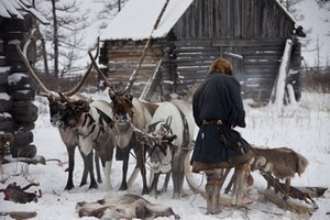 Как падеж оленей от сибирской язвы на Ямале скажется на экспорте мяса в Евросоюз Как падеж оленей от сибирской язвы на Ямале скажется на экспорте мяса в Евросоюз