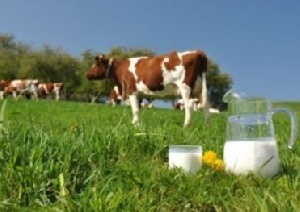 Калининградская и Гродненская области будут сотрудничать по линии АПК