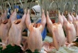 Польские производители курятины боятся конкуренции из Украины