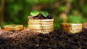 Инвестиции в сельское хозяйство в Курганской области выросли на 22%