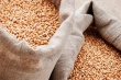 Производители мяса выразили обеспокоенность низким запасом зерна в госфонде