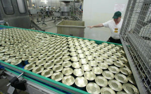 Росрезерв распечатал продуктовую кубышку. Продовольствие по минимальным ценам поступит в магазины Амурской области до 31 декабря