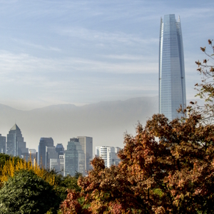 Свинина обеспечила 54% экспортной выручки мясной отрасли Чили в 2025 году