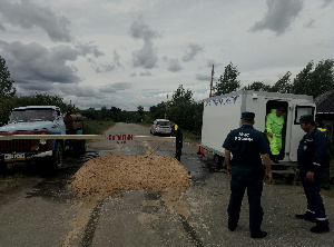 В Ульяновской области выявлен новый очаг африканской чумы свиней