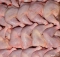 Проблема низкого качества мясного сырья
