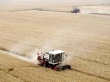 Сельское хозяйство РФ догоняет по росту ТЭК