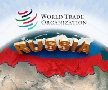 Минэкономразвития не обнаружило чрезмерных потоков импорта после вступления России в ВТО Минэкономразвития не обнаружило чрезмерных потоков импорта после вступления России в ВТО