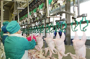 Приватизацию свердловских птицефабрик перенесли из-за санкций
