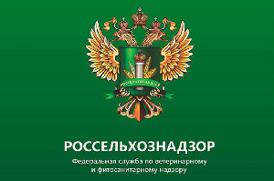 Россельхознадзор запретил транзит скота и птиц с Украины