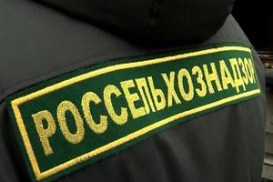 «Евродону» запретили поставки индейки в страны ЕАЭС «Евродону» запретили поставки индейки в страны ЕАЭС