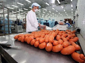 Колбасу из китайского мяса будут производить в Хабаровском крае