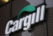 Cargill увеличивает уровень использования антиоксидантов в комбикормах домашней птицы