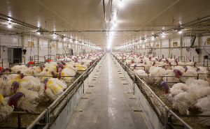 С торгового дома «Индолина» взыскали 1,2 млрд руб.  