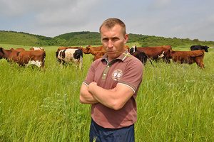Семейные животноводческие фермы Тамбовщины получили господдержку на развитие молочного и мясного скотоводства