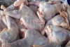 Казахстан лоббирует российскую курятину на внутреннем рынке – эксперт