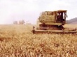 Костромские аграрии получат более 580 млн рублей