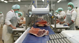 Мясопереработку "от рогов до копыт" предлагают наладить в Казахстане