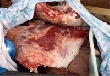 Перевозка животноводческой продукции под надзором