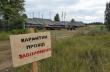 На Украине не применяют современные европейские методы борьбы с АЧС — эксперт