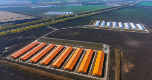 Группа компаний «Дамате» ввела в эксплуатацию 32 новых птичника