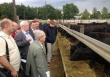В Московской области обсудили состояние и перспективы развития мясного скотоводства в регионе
