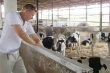 Высокая доля продукции ЛПХ является сдерживающим фактором развития животноводства в Карачаево-Черкессии