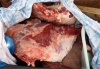 Перевозка животноводческой продукции под надзором