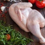 «Кузбасский бройлер» начнет производить мясо индейки