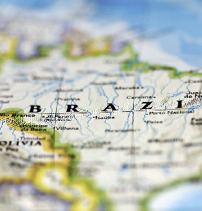 БРАЗИЛИЯ: ПРОБЛЕМАТИКА САЛЬМОНЕЛЬНЫХ ИНФЕКЦИЙ И НОВЫЕ ЗАДАЧИ ДЛЯ ПТИЦЕВОДЧЕСКОГО СЕКТОРА