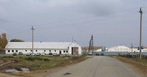 Губернатор Челябинской области взял под контроль ситуацию на Аргаяшской птицефабрике